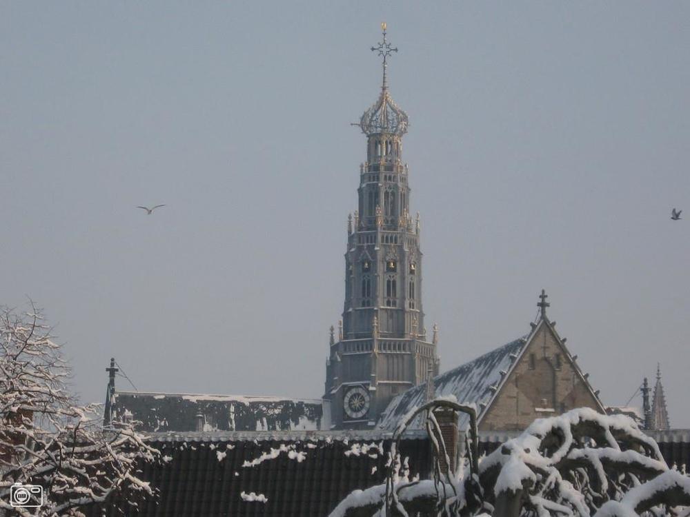 Hotel Lion D'Or Haarlem Exterior foto